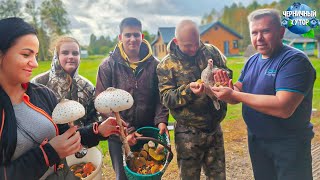 Сбор грибов Круглосуточное видеонаблюдение Избавлялись от уток а на голову свалились цыплята [upl. by Nhguahs]