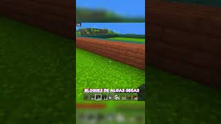 Granja de Caña de Azúcar MUY FACIL y AMPLIABLE  Tutorial Minecraft 121  118 [upl. by Iduj]