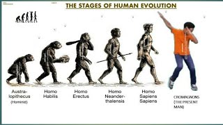 Trick To Learn Evolution Of Humans  Stages Of Human Evolution  NEET amp AIIMS [upl. by Anstice]