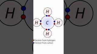 Nucleons Can Have VALANCE SHELLS science physics nuclear [upl. by Ayekin253]