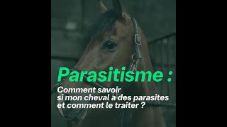 Comment savoir si mon cheval a des parasites et comment le traiter [upl. by Ellecram]