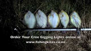 Spearing Flounder at Whangarei With Underwater Gigging Lights [upl. by Kaz]