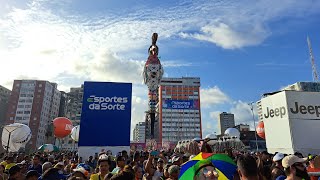 Galo da Madrugada desfile 2024 [upl. by Zolner]