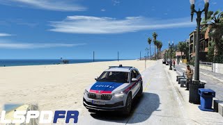 GTAV  LSPDFR  POLIZEI STREIFE  WIEN Dreht durch gameplay [upl. by Ecylahs]