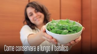 COME CONSERVARE il BASILICO a LUNGO  TUTORIAL e TIPS and TRICKS by PICCOLE RICETTE [upl. by Alethia482]