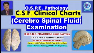 Pathology Practical CSF CHARTS Interpretation OSPE CBME pattern DrSanjay Deshmukh MD [upl. by Yelnikcm735]