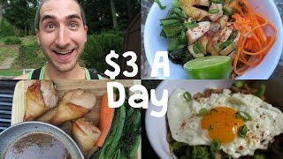 How To Eat Incredibly Well on 3 a Day [upl. by Wes761]