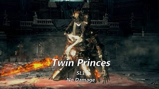 Dark Souls 3 Twin Princes SL1 No Damage [upl. by Mihar285]