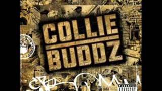 Collie Buddz ft Paul Wall  What a feeling [upl. by Aynad]