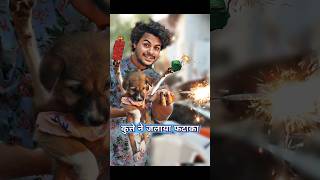 कुत्ते🐶मे मनाया Happy🎆Diwali  comedy diwalicomedy [upl. by Kano]