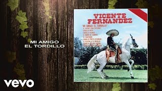 Vicente Fernández  Mi Amigo el Tordillo Cover Audio [upl. by Pavkovic]