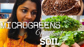 ഇലക്കറികൾ വളർത്താൻ ഇനി മണ്ണ് വേണ്ട Microgreens Without Soil Indoor Tray Farming Mom Life Journal [upl. by Aras]