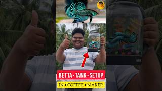 BETTA FISH 🐠 TANK SETUP IN COFFEE MAKER ☕ DIY  jeelanivlogger aquarium tanksetup [upl. by Alisan]