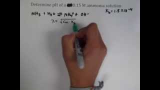 pH of an Ammonia Solution [upl. by Landel344]