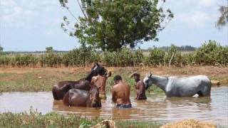 jorge guerrero al cafe y a los caballos [upl. by Bale838]