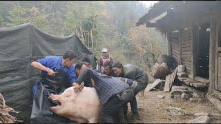 The new method of killing pigs in rural areas is easy to handle by two people Its really fun [upl. by Nommad]