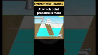 Hydrostatic Paradox shortsfeed pressure physics experiment practical education trending [upl. by Aronos]