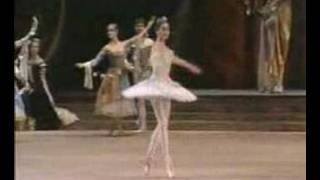 Svetlana Zakharova Bolshoi Ballet Videobaletnet collectio [upl. by Boleslaw145]