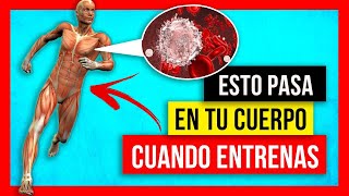 ➤➤ DEPORTE y SISTEMA INMUNOLÓGICO ⛔ NUNCA HAGAS ESTO ⚠️ [upl. by Procto]