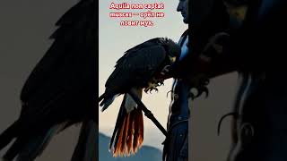 Aquila non captat muscas — орёл не ловит МУХ ЛАТИНСКИЕ ИЗРЕЧЕНИЯ латыньорёл [upl. by Trish]