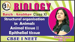 STRUCTURAL ORGANISATION IN ANIMALSANIMAL TISSUE EPITHELIAL TISSUE CLASS XI BIOLOGY NEET 2025 [upl. by Latimore]