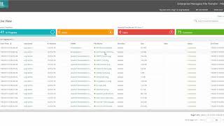 MOVEit Managed File Transfer  Live View Dynamic Link Demo [upl. by Rorrys850]