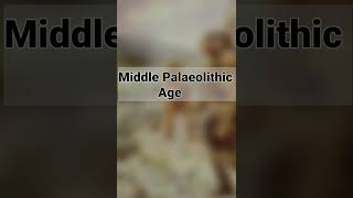 Palaeolithic Age tools  पाषाण काल के औजार  Stone Age  Ancient History [upl. by Jemimah]