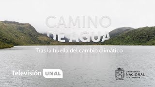 2050  Cortometraje Cambio Climático [upl. by Richmal]