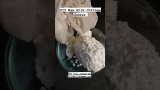 DIY Raw Milk Cottage Cheese Made With Clabbered Milk Naturally Cultured [upl. by Nilad]