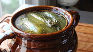 Homemade Dill Pickles  How to Make Naturally Fermented Pickles [upl. by Jabin]