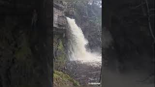 I climbed behind the stunning Thorton Force Waterfall at Ingleton Waterfalls trail in the UK [upl. by Tiras398]