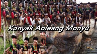 Konyak Aoleang Festival 2024Aphakkonyak9202 [upl. by Eidde766]