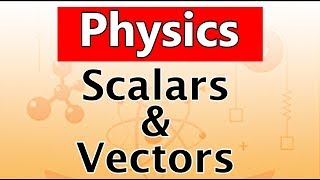 Scalars and Vectors  Physics  Science  Letstute [upl. by Naivaj968]