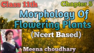 Parts Of FlowerPart5Chapter5Ncert Class 11th biology youtubevideos trending viralvideo [upl. by Avie]