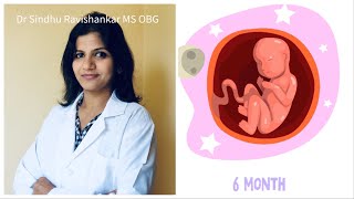 6th Month of Pregnancy in Kannada  21 to 25 weeks of Pregnancy  Dr Sindhu Ravishankar [upl. by Arlen279]