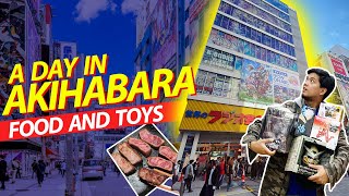 Akihabara Japan Guide ULTIMATE DAY TOUR [upl. by Alithea592]