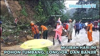 Pohon Tumbang dan Tanah Longsor Putus Arus Jalan Kendaraan di Sitinjau Lauik [upl. by Isyed]