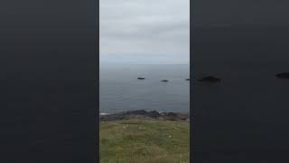 View at Pendeen Lighthouse Cornwall [upl. by Edorej]