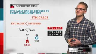 What Is Dividend Risk  Options Trading Concepts [upl. by Akimot]