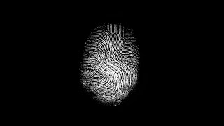 Free Fingerprints And A Free Blender Tutorial [upl. by Amre]