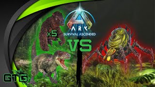 Official Alpha Broodmother Boss Fight Using 5 Megatherium And A Yutyrannus Ark Survival Ascended [upl. by Barnett602]