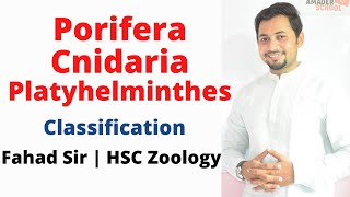 02 Porifera  Cnidaria  Platyhelminthes  HSC Zoology Chapter 1  Major Phylum part 1 [upl. by Herriott]