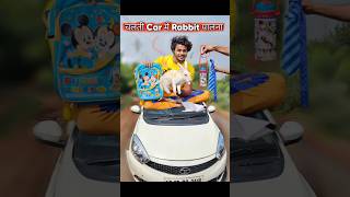 चलती Car मे खरगोश🐰पालना 🤣 rabbit comedy [upl. by Hedvige]