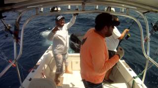 Sailfish on Spinning Rod Penn Fierce 8000 [upl. by Eniarol]