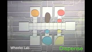 Microfluidics for bottomup assembly of synthetic cells [upl. by Litnahc]