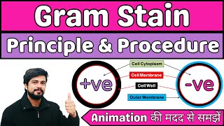 🔴Gram Staining🟣 Principle amp Procedure  Microbiology in Hindi [upl. by Anitsirhk892]