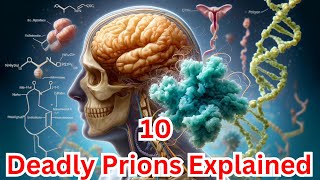 Top 10 Prions Explained Deadly Proteins You Need to Know About [upl. by Nevile194]