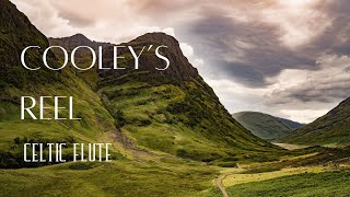 Relaxing Instrumental Celtic Flute CoverquotCooleys Reelquot [upl. by Eetak]