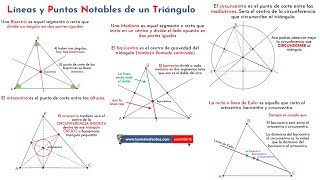 Líneas Notables en un Triángulo Bisectriz Mediatriz Mediana Altura y Más  Guía Completa [upl. by Nuj252]