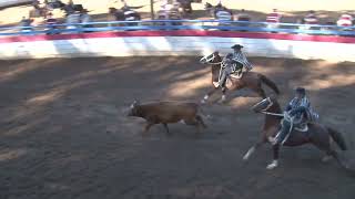 RODEO PARA CRIADORES ASOCIACION CAUQUENES  QUINTA SERIE LIBRE 13 Y 14 DE MAYO 2023 [upl. by Blackstock163]